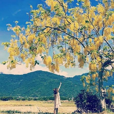 Pu Shi Homestay Yuli Εξωτερικό φωτογραφία